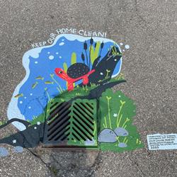 Julia Louise Pereira (Century Gardens Park Playground) - Spotting the Spotted Turtle
